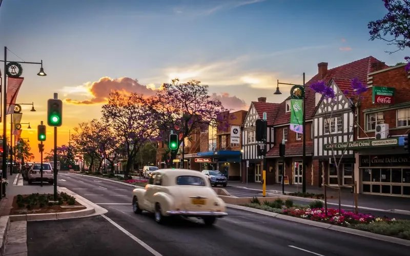 Camden town centre at sunset, with jacaranda trees along the main street.